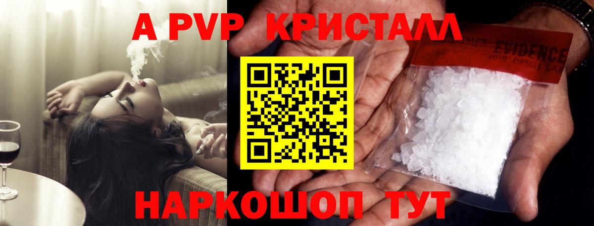 A PVP СК КРИС Саяногорск