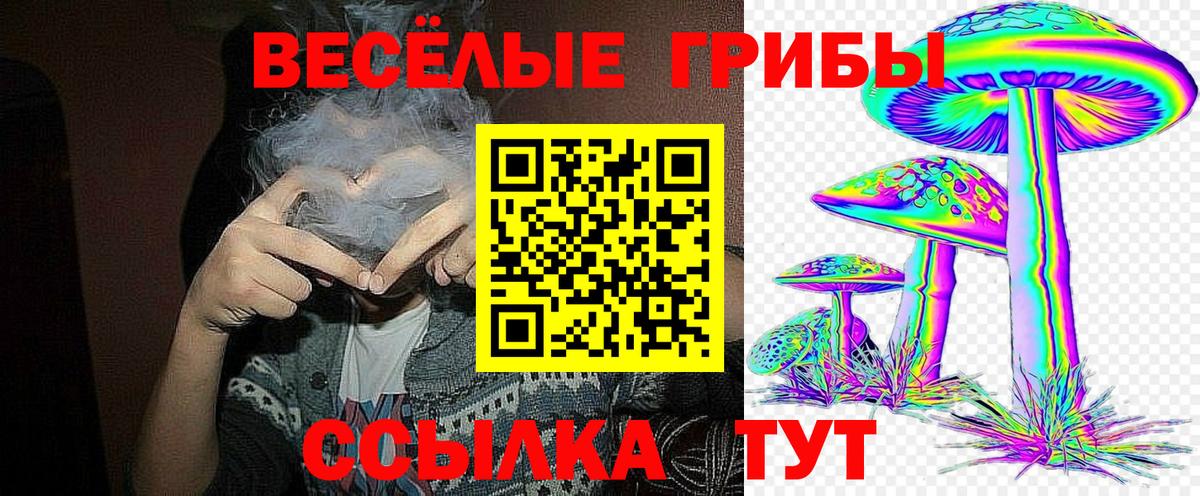 Псилоцибиновые грибы Psilocybine cubensis Саяногорск
