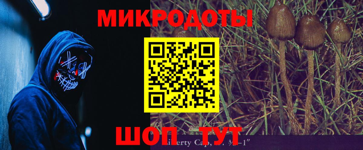 Саяногорск  Галлюциногенные грибы Psilocybine cubensis  Вход с VPN  Галлюциногенные грибы Psilocybine cubensis 